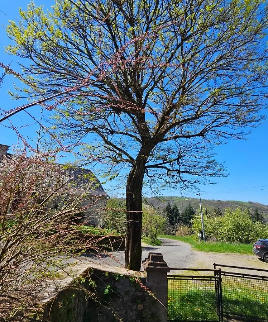 Maison De Campagne Dans Un Ecrin De Verdure Conques-en-Rouergue